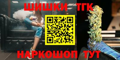 индика Обь