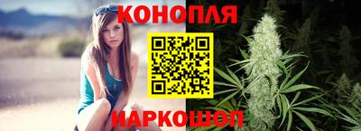 индика Обь
