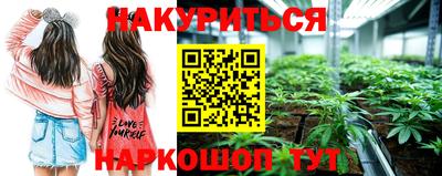 мдма Новозыбков