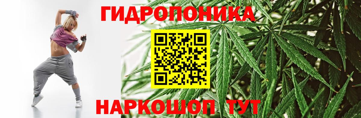 Марихуана планчик  Вход с VPN  МАРИХУАНА Amnesia  Томск  Шишки марихуана конопля 